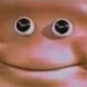 Meet your Posher, Owen